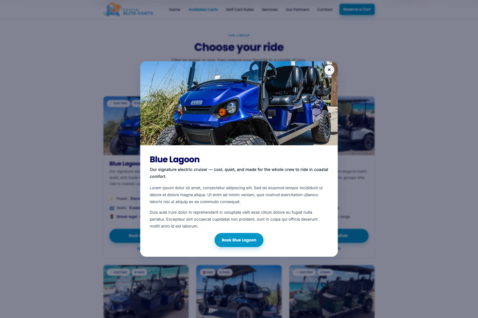 More Info modal for the Blue Lagoon cart, opened over the dimmed fleet grid